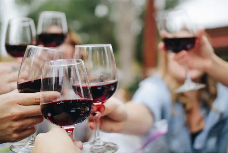 Friends wine toast celebration