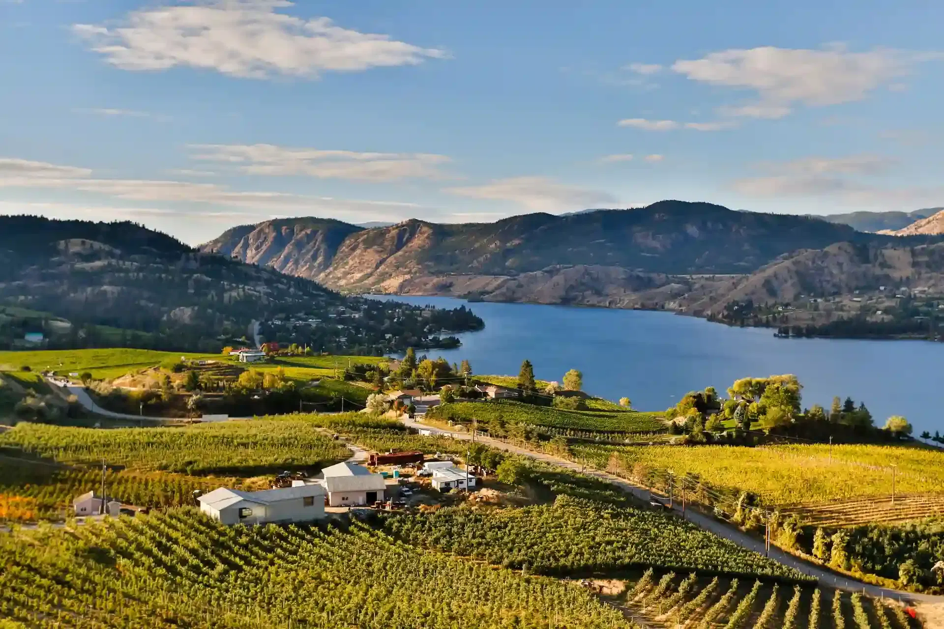 Naramata Bench estate aerial