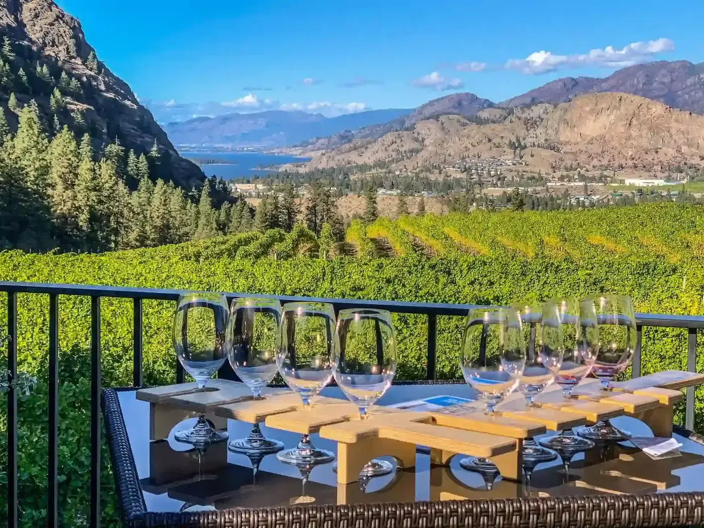 Vineyard tasting terrace view
